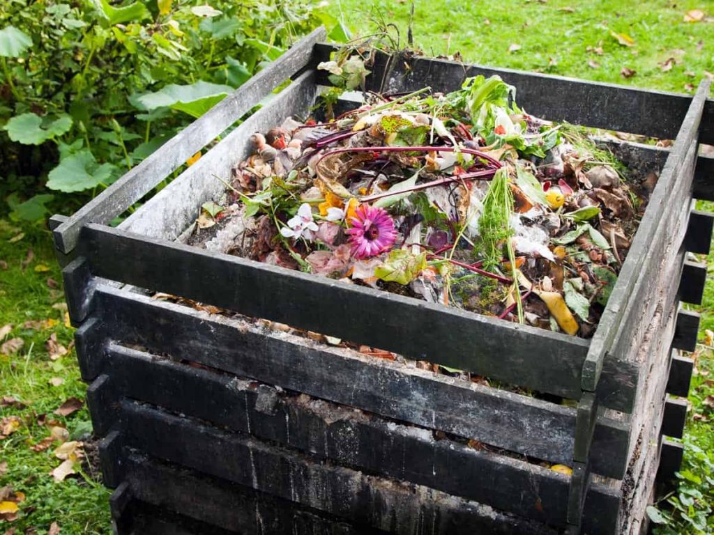 Wooden compost bin outdoor with food scraps inside.