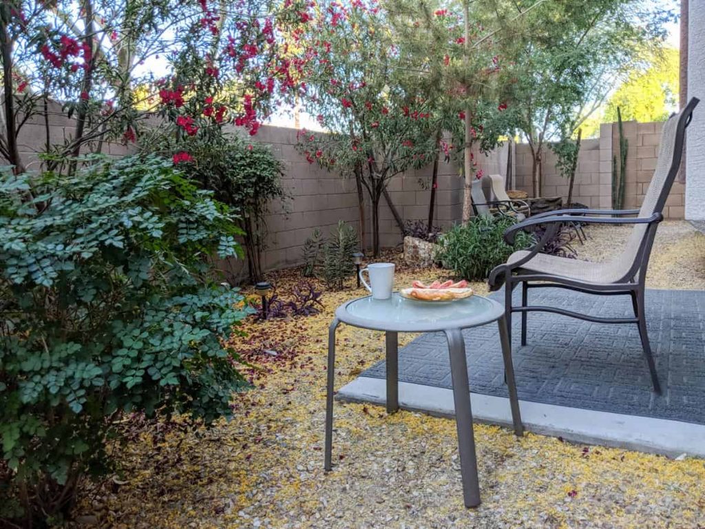 Xeriscaped backyard with chair and table holding plate of food.