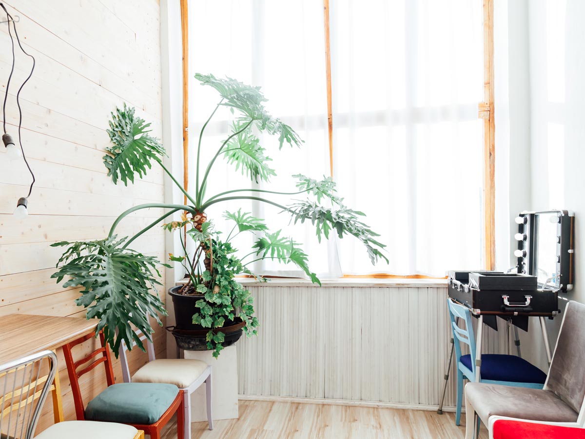 20 Sustainable Living Ideas That Actually Help the Planet - Low Impact Love