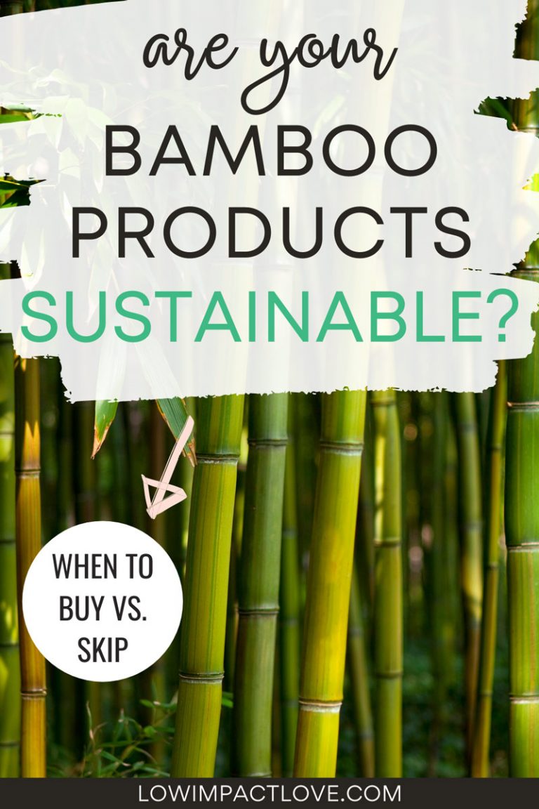 Is Bamboo Sustainable? What to Know Before You Buy Low Impact Love