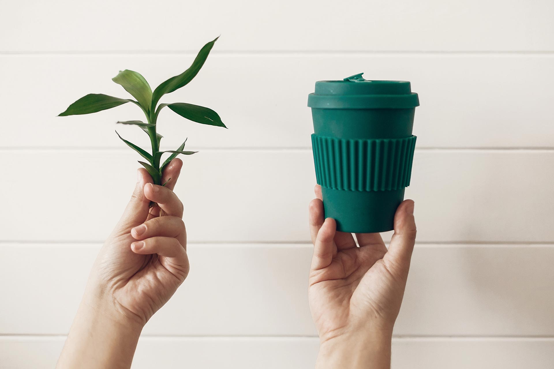 Hands holding up green plant stem and reusable coffee mug, depicting zero waste vs low impact dilemma
