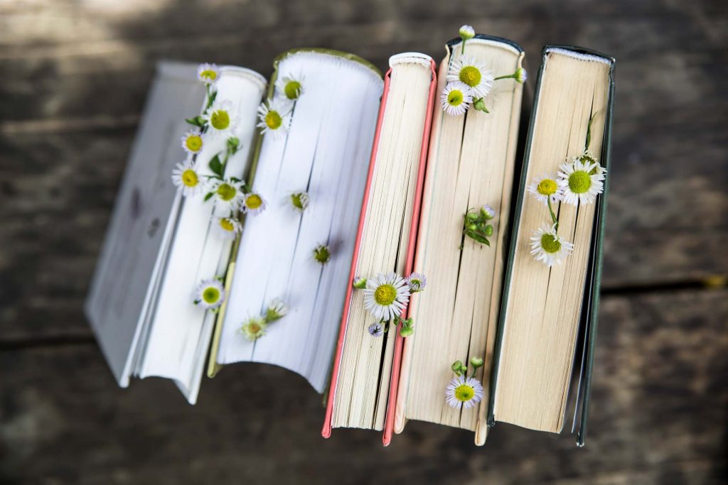 Five books about sustainability standing up with daisy flowers poking out from pages