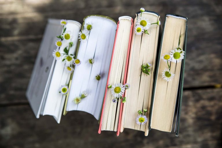 Books on Sustainability 10 Best Reads for Beginners Low Impact Love
