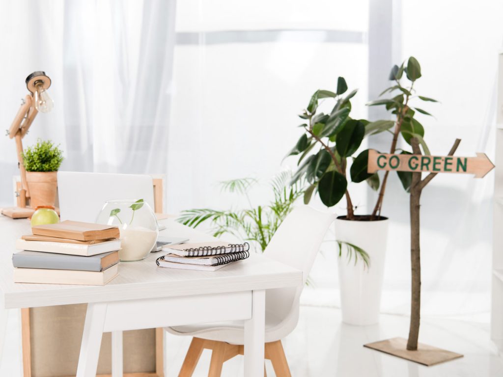 Bright simple living room with desk, chair, plants, and books